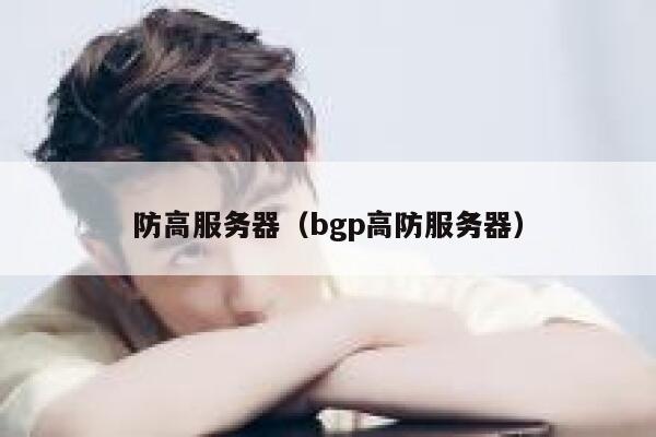 防高服务器（bgp高防服务器）
