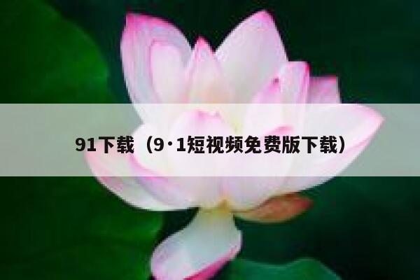 91下载（9·1短视频免费版下载）