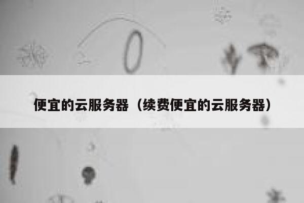 便宜的云服务器（续费便宜的云服务器）