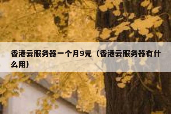 香港云服务器一个月9元（香港云服务器有什么用）