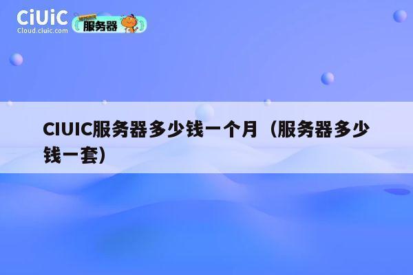 CIUIC服务器多少钱一个月（服务器多少钱一套）