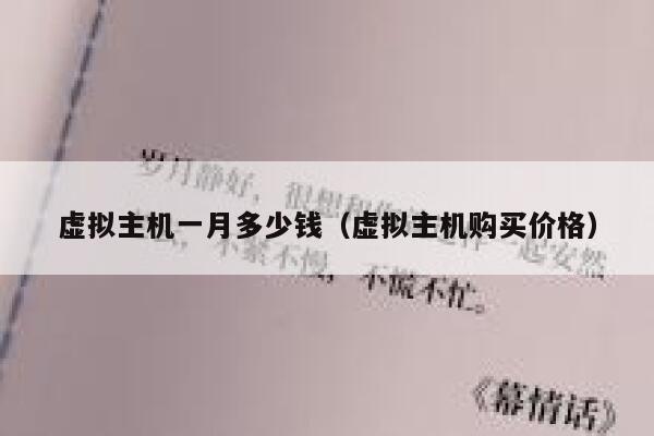 虚拟主机一月多少钱（虚拟主机购买价格）