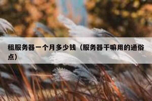 租服务器一个月多少钱（服务器干嘛用的通俗点）
