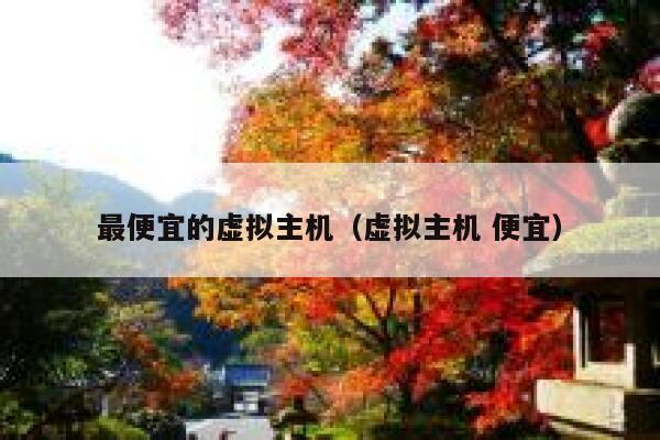 最便宜的虚拟主机（虚拟主机 便宜）