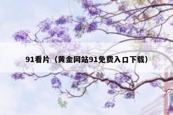 91看片（黄金网站91免费入口下载）