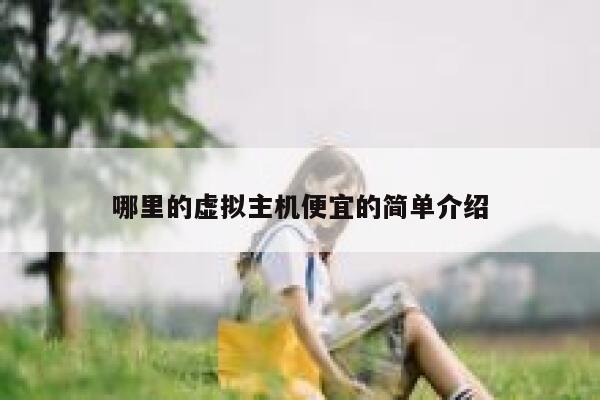 哪里的虚拟主机便宜的简单介绍