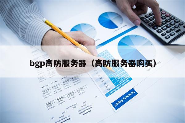 bgp高防服务器（高防服务器购买）