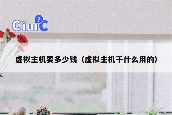 虚拟主机要多少钱（虚拟主机干什么用的）