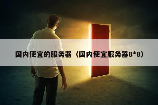 国内便宜的服务器（国内便宜服务器8*8）
