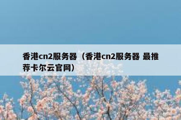 香港cn2服务器（香港cn2服务器 最推荐卡尔云官网）