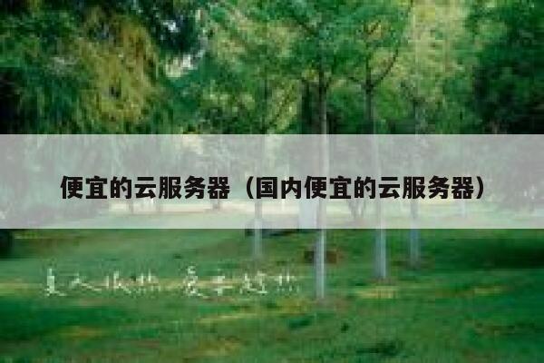 便宜的云服务器（国内便宜的云服务器）