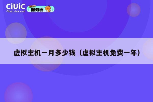 虚拟主机一月多少钱（虚拟主机免费一年）