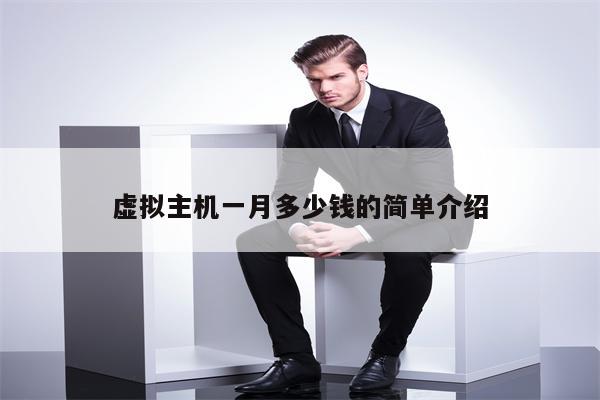 虚拟主机一月多少钱的简单介绍