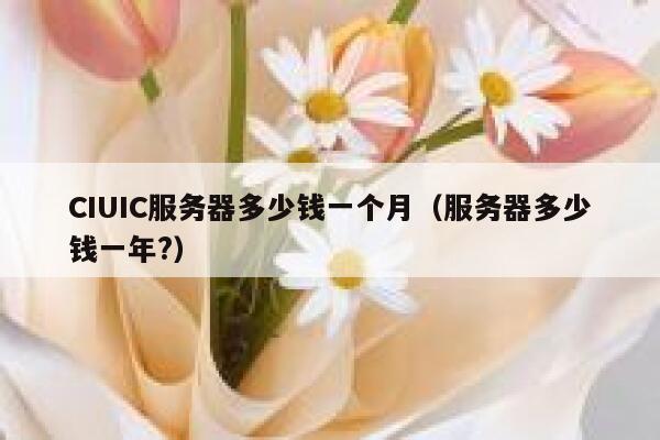 CIUIC服务器多少钱一个月（服务器多少钱一年?）