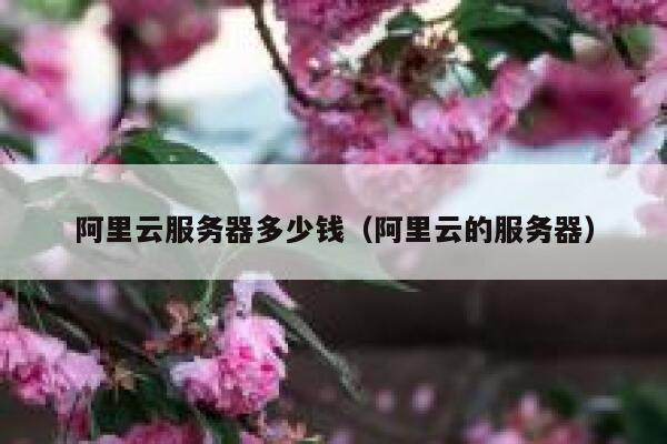 阿里云服务器多少钱（阿里云的服务器）