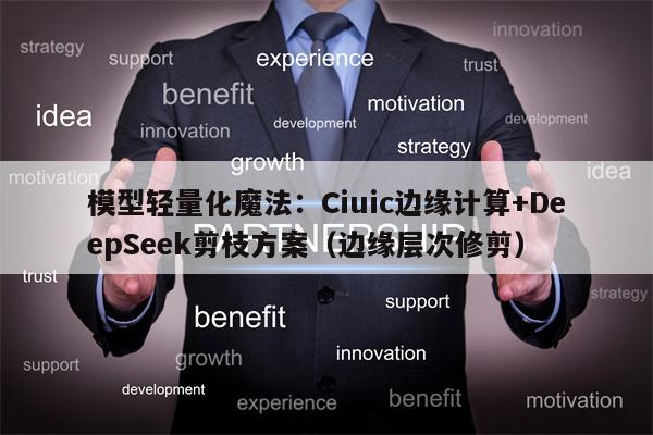 模型轻量化魔法：Ciuic边缘计算+DeepSeek剪枝方案（边缘层次修剪）