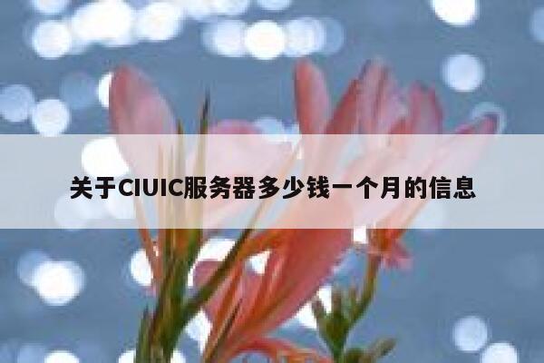 关于CIUIC服务器多少钱一个月的信息