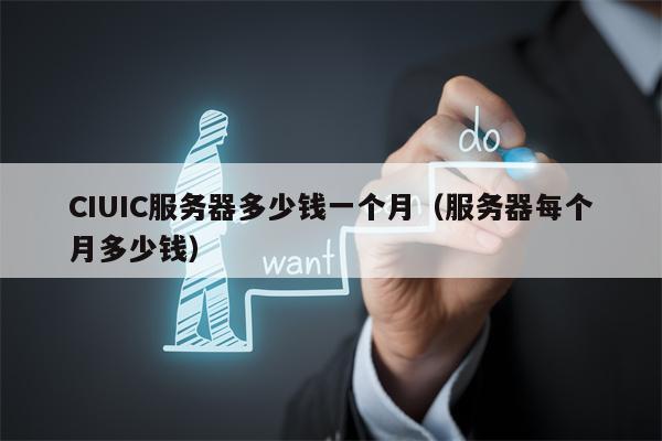 CIUIC服务器多少钱一个月（服务器每个月多少钱）