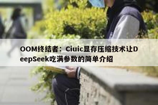 OOM终结者：Ciuic显存压缩技术让DeepSeek吃满参数的简单介绍