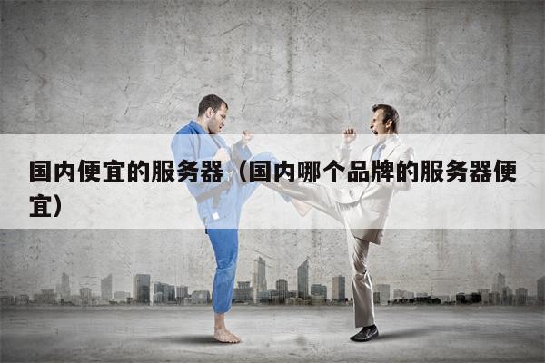 国内便宜的服务器（国内哪个品牌的服务器便宜）