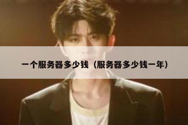 一个服务器多少钱（服务器多少钱一年）