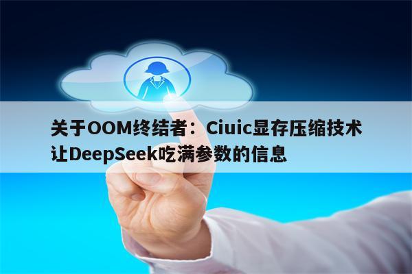 关于OOM终结者：Ciuic显存压缩技术让DeepSeek吃满参数的信息
