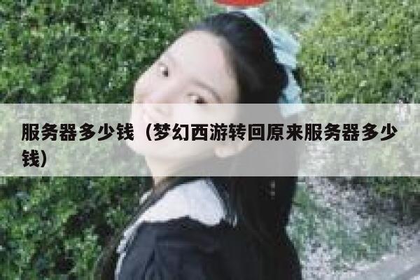 服务器多少钱（梦幻西游转回原来服务器多少钱）