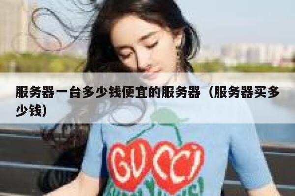 服务器一台多少钱便宜的服务器（服务器买多少钱）