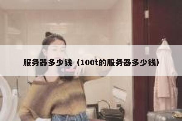 服务器多少钱（100t的服务器多少钱）
