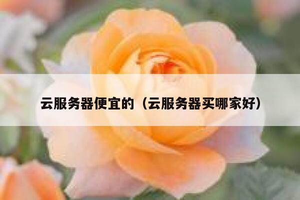 云服务器便宜的（云服务器买哪家好）