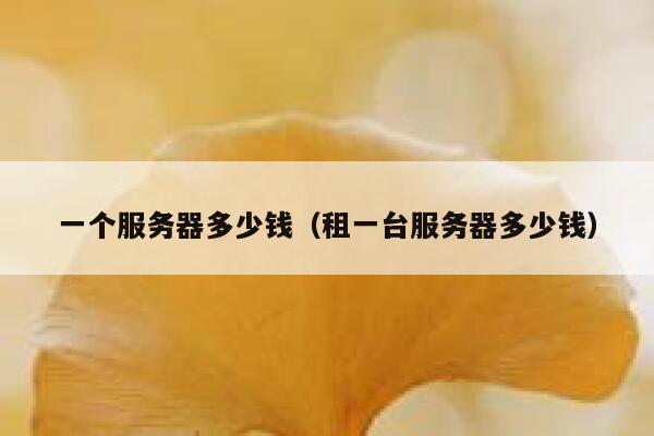 一个服务器多少钱（租一台服务器多少钱）