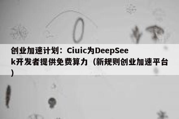 创业加速计划：Ciuic为DeepSeek开发者提供免费算力（新规则创业加速平台）