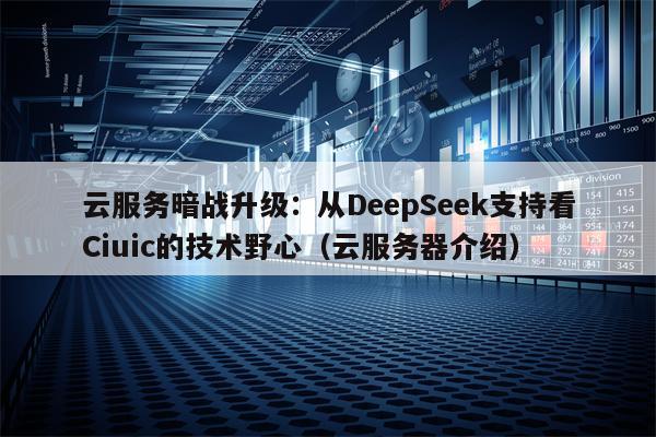 云服务暗战升级：从DeepSeek支持看Ciuic的技术野心（云服务器介绍）
