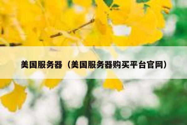 美国服务器（美国服务器购买平台官网）