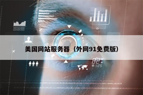 美国网站服务器（外网91免费版）
