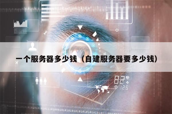 一个服务器多少钱（自建服务器要多少钱）