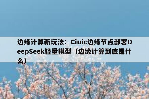 边缘计算新玩法：Ciuic边缘节点部署DeepSeek轻量模型（边缘计算到底是什么）