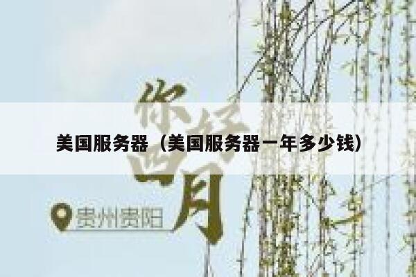 美国服务器（美国服务器一年多少钱）