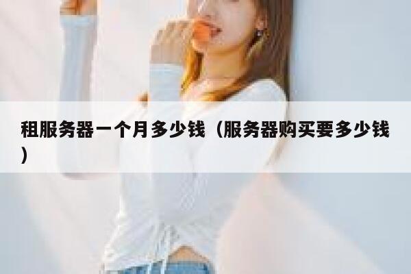 租服务器一个月多少钱（服务器购买要多少钱）