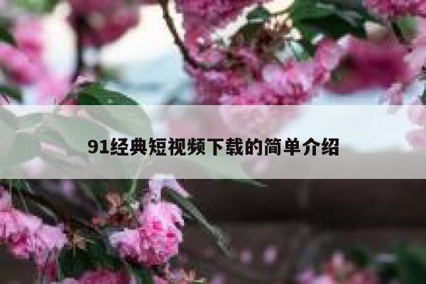 91经典短视频下载的简单介绍