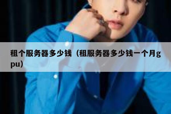 租个服务器多少钱（租服务器多少钱一个月gpu）