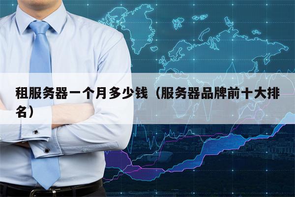 租服务器一个月多少钱(服务器品牌前十大排名)