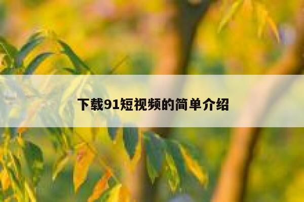 下载91短视频的简单介绍