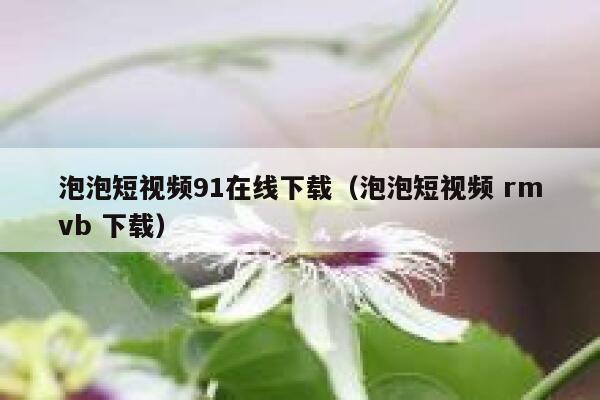 泡泡短视频91在线下载（泡泡短视频 rmvb 下载）