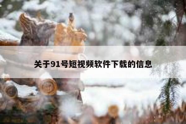 关于91号短视频软件下载的信息