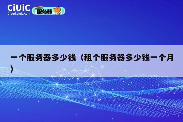 一个服务器多少钱（租个服务器多少钱一个月）